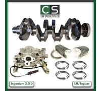 e-Pace X540 F-Pace 204DTA Twin Turbo Forgiato Albero Pompa Olio 2.0D Rebuild Kit