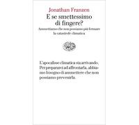 E se smettessimo di fingere? Ammettiamo che non possiamo più fermare la catastrofe climatica