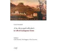 «E tu, che su quel colle giaci». Le ville di Galzignano Terme. Vol. 1: Corte Sisanda, Villa Boggian, Villa Giavarina