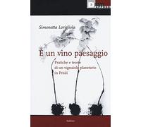 È un vino paesaggio. Pratiche e teorie di un vignaiolo planetario in Friuli