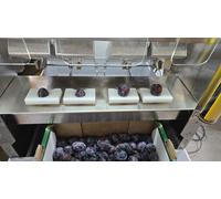 E2004 Macchina Per Estrarre Il Nocciolo Delle Prugne