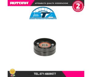E20503BTA Rullo tenditore, Cinghia Poly-V (MARCA-BTA)..
