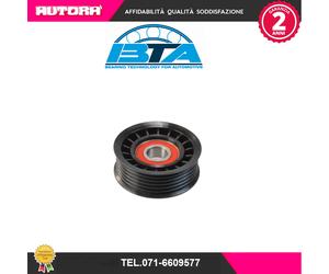 E2G5254BTA Rullo tenditore, Cinghia Poly-V (MARCA-BTA)..