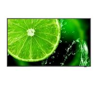 E438 43IN E SERIES LED LFD - UHD 350CD/QM