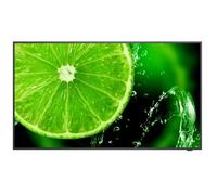 E498 49 INCH E-series Large Format Display