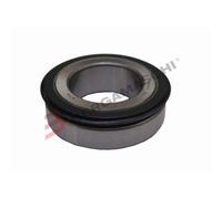 E994064300 - CUSCINETTO NTN STERZO M.30X52X16 HONDA-SUZUKI-KAWASAKI-YAMAHA