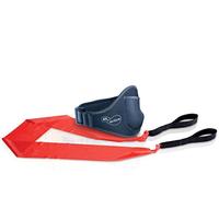 Ea Sports Active Accessory Pac [Edizione: Germania]