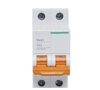 EA9AN Interruttore automatico elettrico Easy 9 EA9AN 2p C Tipo 6A 10A 16A 20A 25A 32A 40A 50A 63A AC EA9AN*C** 1 pz(16a)