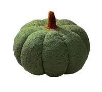 Eacam Cuscino di Peluche con Zucca Simulata 3D, Cuscino Decorativo di Zucca Farcito Morbido e Confortevole per la Decorazione Domestica, Bomboniere, Regalo Perfetto, Meravigliosa (280mm)