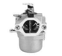 Eacam di Alimentazione Carburatore Ad Alta affidabilità, Adatto a 799728 498027 12 CV 12,5 CV, Realizzato in Materiale in Alluminio, Facile Installazione con Guarnizione di