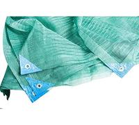 eacommerce Telo Antispina Rete per Raccolta Olive Light 33 gr/mq Intera O con Apertura Centrale Colore Verde con Angoli Rinforzati (Rete con Apertura, 6x6 mt)