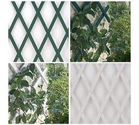 eacommerce Traliccio Grigliato Reticolato Estensibile in PVC per Piante rampicanti Balcone, Giardino, terrazza (2X1 MT, Bianco)