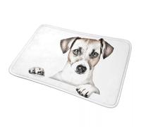 EAEQKOUC Tappeto 3D Ciao Cane! Russell Terrier antiscivolo da pavimento raschia-sabbia per ingresso cucina, tappetini per il soggiorno-40x60cm