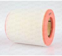 EAF3619.20 OPEN PARTS Filtro aria per AUDI