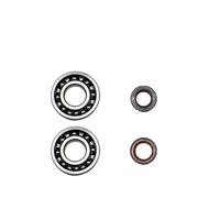 EAGHADEK Accessori per utensili Kit paraolio cuscinetto albero motore per compatibile con Stihl BR340 BR380 BR420 Soffiatore per foglie a zaino SR420