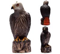 Eagle Bird Space Dispositivo, deterrente Realistico all'aperto con Supporto per palo o autoportaggio, Trame Chiare per la Caccia all'esca e al Braccio didattico