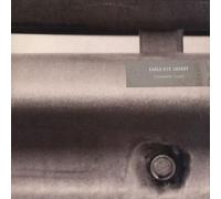 Eagle Eye Cherry - Permanent Tears