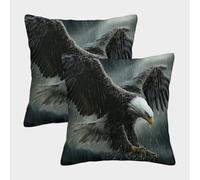 Eagle in Storm-Wild Nature Art Style Federe Cuscini Per Divano Decorative Art Fodere Per Cuscini Confezione Da 2 Con Cerniera Invisibile Per Soggiorno Camera Sofà 45x45cm
