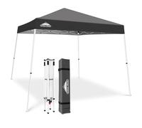 EAGLE PEAK Tenda a baldacchino pieghevole con gambe inclinate, 3 x 3 m, per esterni, facile da installare, colore: grigio