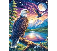 Eagle with Another Eagle in The Sky Rompicapo 300 Pezzi Per Professionisti Wildlife Pet Cute Cartone Rigido Incastro Preciso Per Esercizio Mentale Da Passatempo Qualità Museale Edizione Esclusiva 300