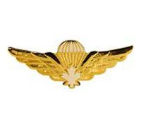 EagleEmblems P40039 Wing-Canadian Jump (GLD/WHT) (2.5'')