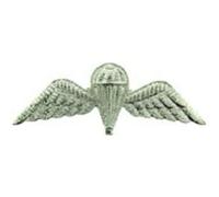 EagleEmblems P40046 Wing-British Jump (2'')