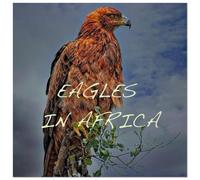 Eagles in Africa (Wall Calendar 2026 12" x 24" / 30 x 60 cm (aperto) CALVENDO 12 Month Wall Calendar: The Eagle is considered the king of the sky (CALVENDO Places)