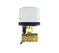 EAHWCXSD Valvola a Sfera motorizzata Impermeabile IP65 da 3/4" 220V 12V 24V 3 Fili 2 Controlli(24V)