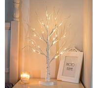 EAMBRITE - Albero luminoso per interni, 24 LED bianco caldo, albero di betulla, funzionamento a batteria, decorazione natalizia per casa, feste, compleanni, matrimoni, decorazione per interni, 60 cm