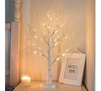 EAMBRITE - Albero luminoso per interni, 24 LED bianco caldo, albero di betulla, funzionamento a batteria, decorazione natalizia per casa, feste, compleanni, matrimoni, decorazione per interni, 60 cm