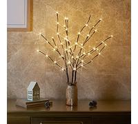 Eambrite Set di 3 rami a LED per esterni, a 60 LED, impermeabili, da 76 cm, di colore marrone, con luce bianca calda e alimentazione a rete, decorazione a LED per Natale, Pasqua, Halloween