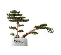 EAmrfvqt Artificial Bonsai Tree Green Welcome Pine Potted Ceramic Vase