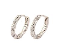 Ear Buckle Girl Simple Korean Version Autumn and Winter Circle Zircone Orecchini in giada, Taglia unica, Plastica, Nessuna pietra preziosa