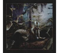 Earl Sweatshirt Feet of Clay (Vinyl LP) 12" EP