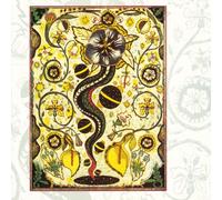 Earle, Steve - I Feel Alright