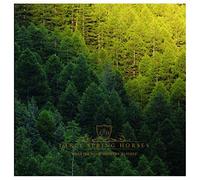 Early Spring Horses - What The Wood Whispers To Itself - CD - E72z
