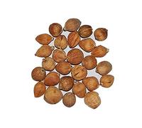 Earth Best Original Laghu Coconut - Sriphal - Laghu Nariyal - Set of 11 Pieces