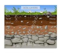 Earth Science Poster on Soil Formation Layers