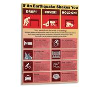 Earthquake Emergency Safety Poster for Disaster Readiness
