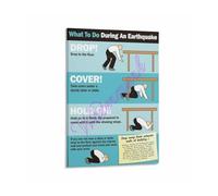 Earthquake Response Protocol Poster Safety Checklist Canvas Painting for Workplace Home Office Decor(Unframed,12x18inch(30x45cm))