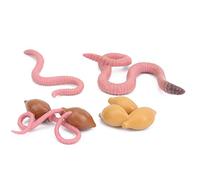 Earthwarm Animal Life Cycle, 4 PCS Crescita degli insetti Modello Figure Figurine Giocattoli evi per l'apprendimento dei bambini Decorazione del desktop Ragazzi Ragazze Bambini Bimbi piccoli Bom