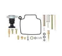 EaseSunny Kit di ricostruzione carburatore per Honda FourTrax 300/TRX300 (1993-2000), include molla primer e vite, getto principale 120, costruzione in metallo