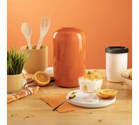 EasiYo Set 6kg di yogurt a scelta fra 6 varianti + barattolo