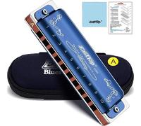 East Top 10 fori 20 toni 008K Chiave per armonica diatonica A con custodia blu, armonica standard per adulti, musicisti professionisti e studenti