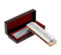 East Top 10 Holes Armonica Diatonica Professionale Blues Chiave di Sib con copertura in argento, armonica Probgrade per adulti, musicisti professionisti e studenti