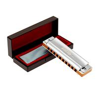 East Top 10 Holes Professional Diatonic Blues Harmonica Key D con coperchio in argento, armonica Probgrade per adulti, musicisti professionisti e studenti