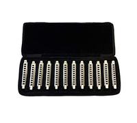 East Top 12-Pack 10 fori Armonica Diatonica Blues Professionale, 12 Key Professional Blues T008 Armonica per Adulti
