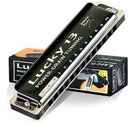 East top Lucky 13 Bass Plus Blues Armonica 13 Fori Arpa Diatonica Bocca Organo Strumenti Musicali Professionali PowerDraw C chiave per Adulti