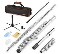Eastar EFL-1 16 Keys Flute Nickel Plated Close Hole