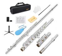 Eastar Scanalatura a 16 tasti C a foro chiuso per studenti principianti, strumento con kit di pulizia, supporto, custodia, guanti, asta di accordatura, grafico di diteggiatura, placcato argento, EFL